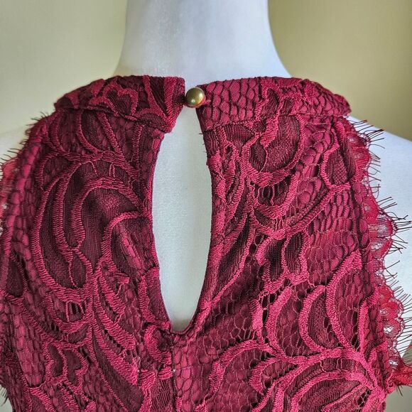 Speechless Wine Red Eyelash Lace Mini Dress Women's Medium Witchy Vamp High Neck - Picture 4 of 10